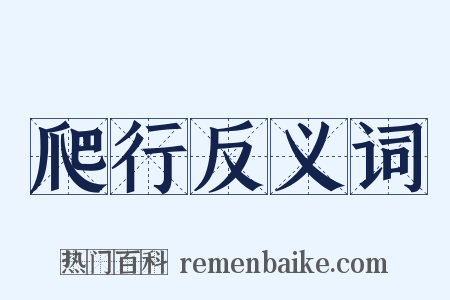 爬行反义词是什么意思的图片